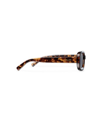 Sunglasses MELLER Dashi Tigris Carbon l'achat 