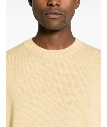 Merino Wool Jumper Faites des économies