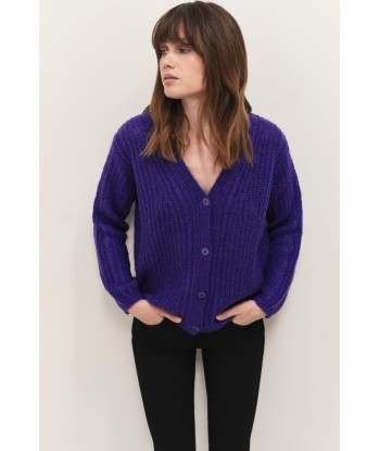 TIM  - Cardigan purple tricot à encolure V profonde la livraison gratuite