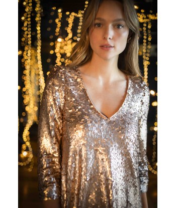 REYNIS - Robe platine brodée maxi sequins sur le site 