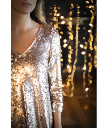 REYNIS - Robe platine brodée maxi sequins sur le site 