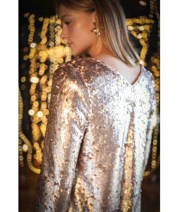 REYNIS - Robe platine brodée maxi sequins sur le site 