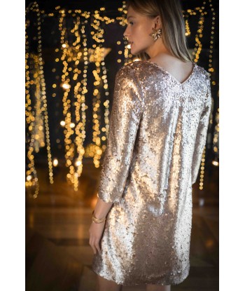 REYNIS - Robe platine brodée maxi sequins sur le site 