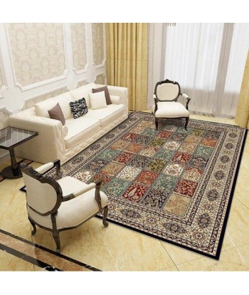 Tapis Oriental Coloré commande en ligne