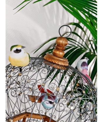 Cage oiseaux vintage en ligne