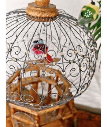 Cage oiseaux vintage en ligne