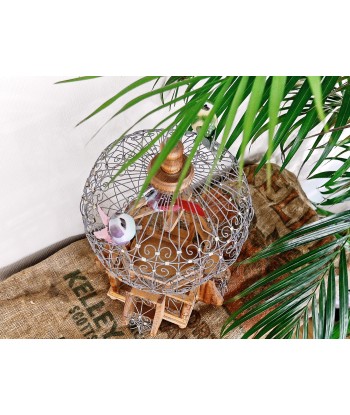 Cage oiseaux vintage en ligne