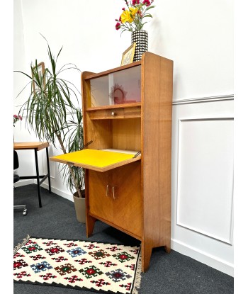 Secrétaire scandinave vintage Par le système avancé 